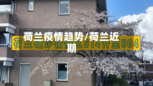荷兰疫情趋势/荷兰近期-第1张图片