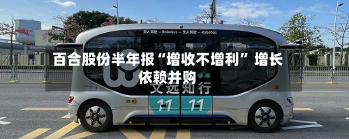 百合股份半年报“增收不增利” 增长依赖并购-第2张图片