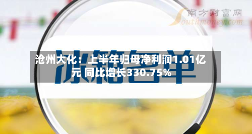 沧州大化:上半年归母净利润1.01亿元 同比增长330.75%-第3张图片