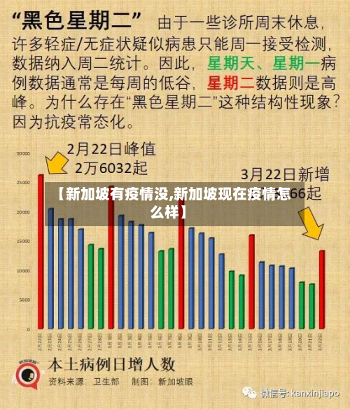 【新加坡有疫情没,新加坡现在疫情怎么样】-第3张图片