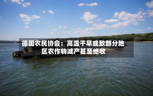 德国农民协会：高温干旱或致部分地区农作物减产甚至绝收-第2张图片