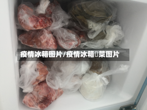 疫情冰箱图片/疫情冰箱坉菜图片-第2张图片