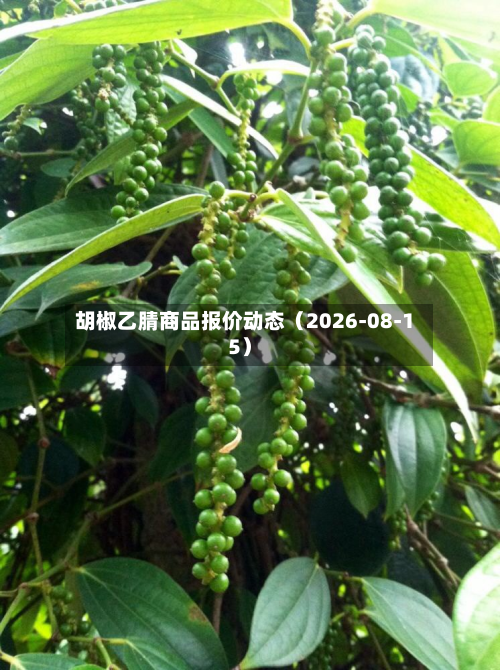胡椒乙腈商品报价动态(2026-08-15)-第1张图片