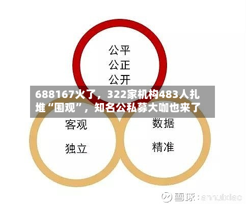 688167火了,322家机构483人扎堆“围观”,知名公私募大咖也来了-第3张图片