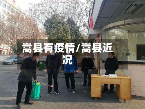 嵩县有疫情/嵩县近况-第3张图片