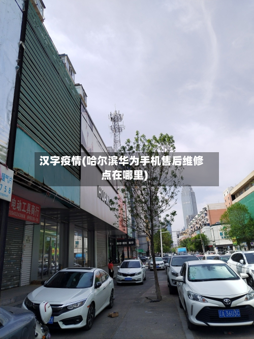 汉字疫情(哈尔滨华为手机售后维修点在哪里)-第3张图片