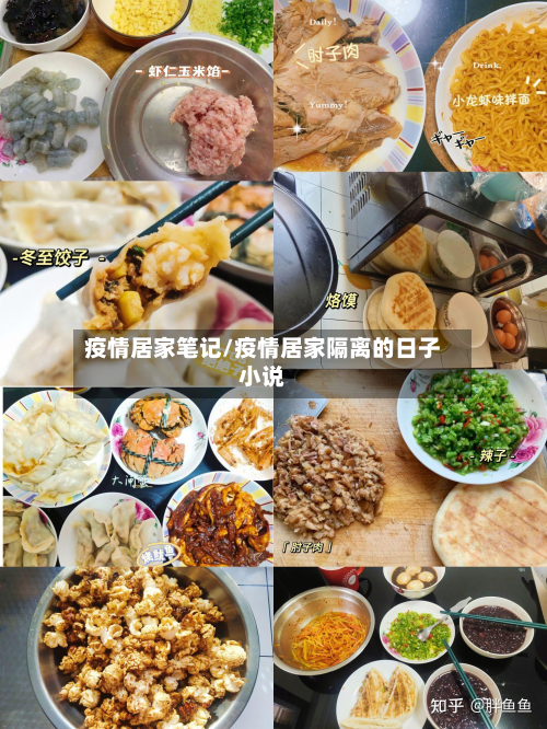 疫情居家笔记/疫情居家隔离的日子小说-第2张图片