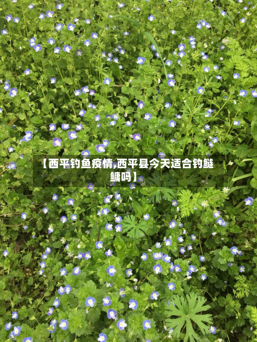 【西平钓鱼疫情,西平县今天适合钓鲢鳙吗】