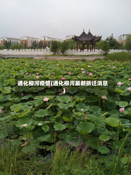 通化柳河疫情(通化柳河最新拆迁消息)-第2张图片
