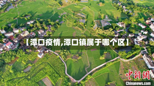 【潭口疫情,潭口镇属于哪个区】