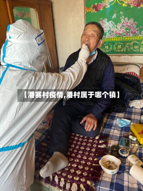 【潘赛村疫情,潘村属于哪个镇】