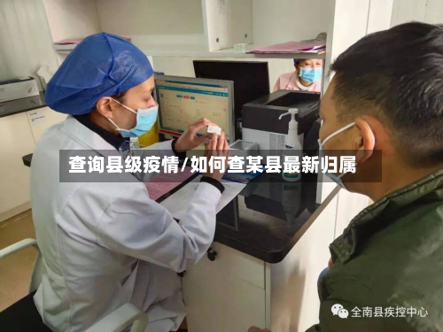 查询县级疫情/如何查某县最新归属