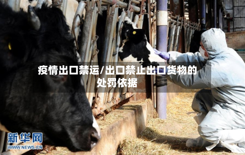 疫情出口禁运/出口禁止出口货物的处罚依据
