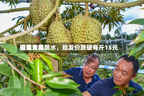 榴莲费用迎来大幅跳水，批发价跌破每斤15元-第2张图片