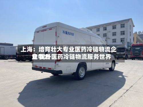 上海：培育壮大专业医药冷链物流企业 提升医药冷链物流服务世界竞争力