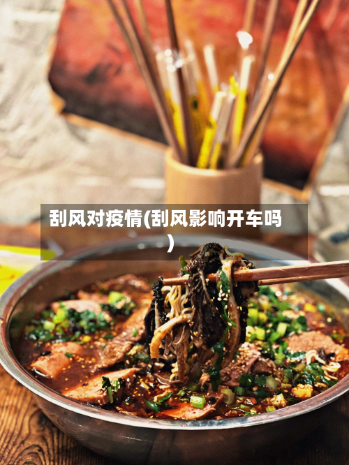 刮风对疫情(刮风影响开车吗)-第2张图片