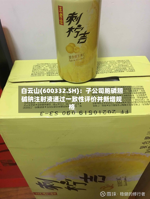 白云山(600332.SH)：子公司胞磷胆碱钠注射液通过一致性评价并新增规格