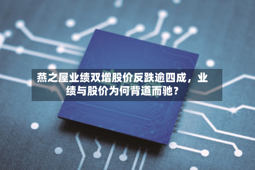 燕之屋业绩双增股价反跌逾四成，业绩与股价为何背道而驰？-第2张图片