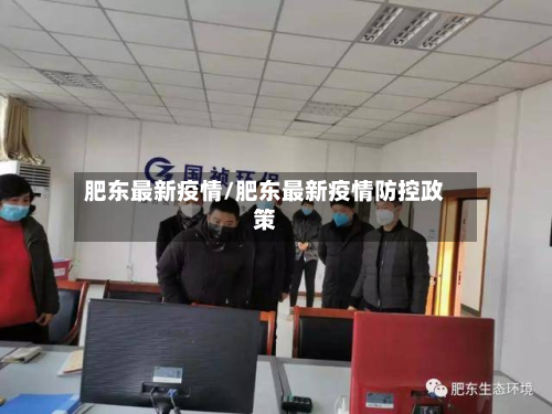 肥东最新疫情/肥东最新疫情防控政策-第3张图片